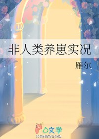 ����������ʵ��