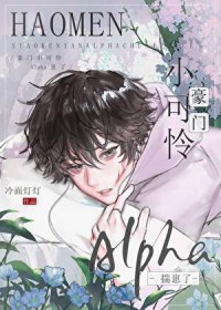 ����С����Alpha������